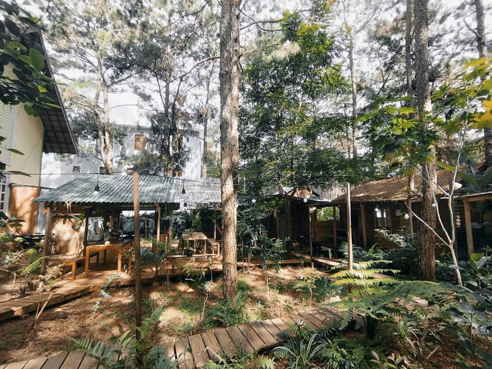 La Maison Homestay Mang Den Kon Tum Экстерьер фото