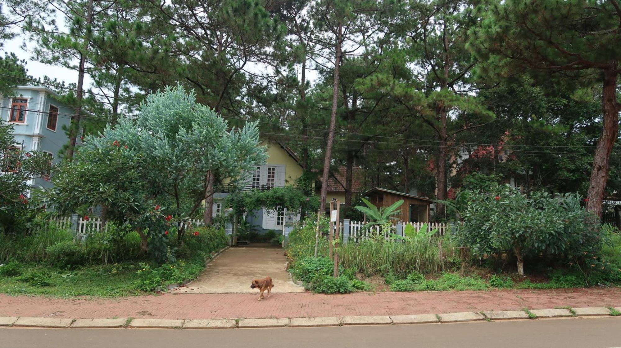 La Maison Homestay Mang Den Kon Tum Экстерьер фото