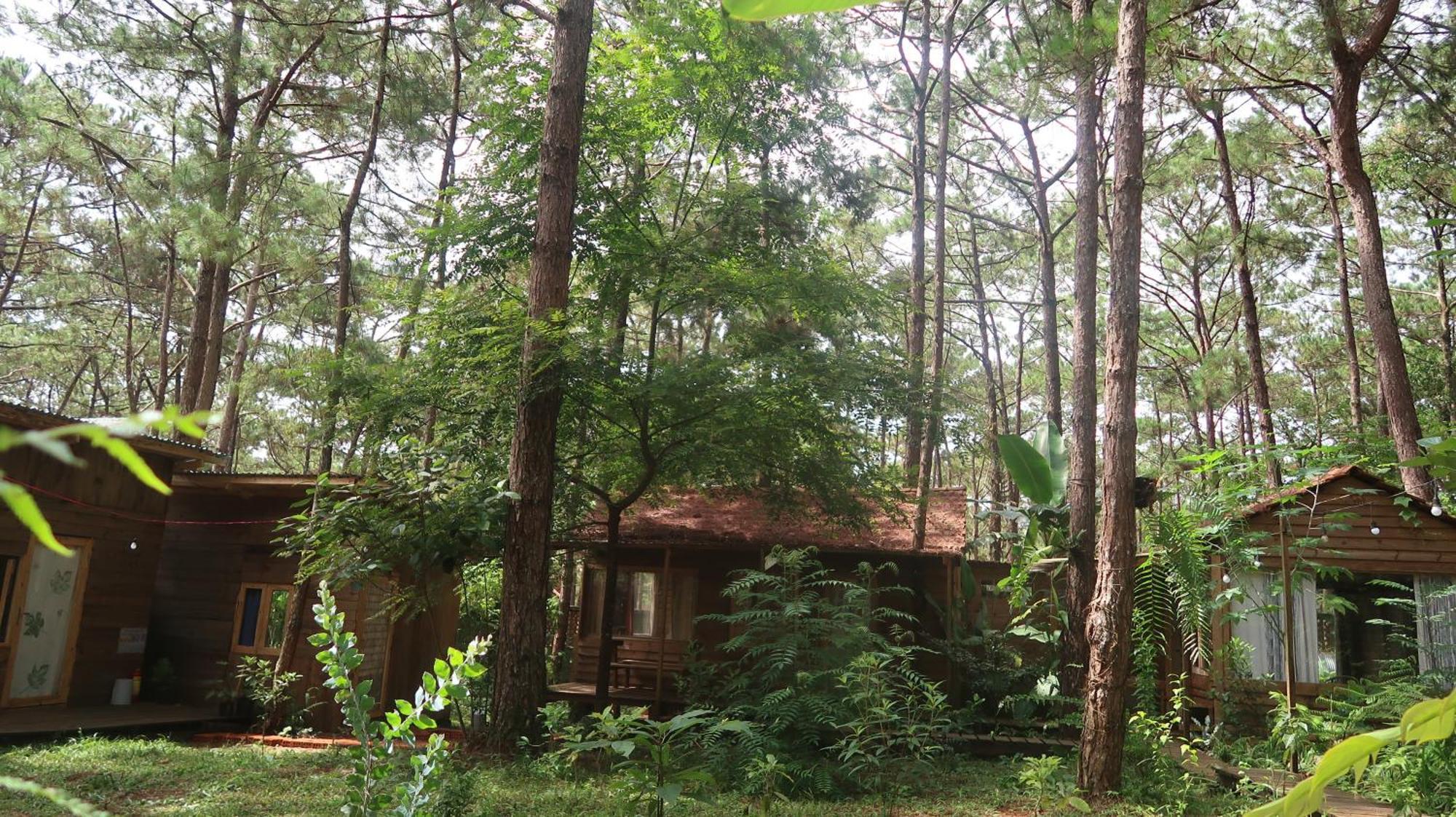 La Maison Homestay Mang Den Kon Tum Экстерьер фото